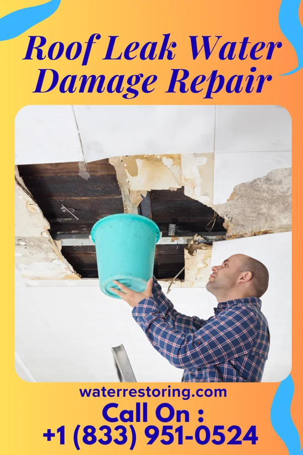 Roof Leak Water Damage Repair in Falconaire, TX